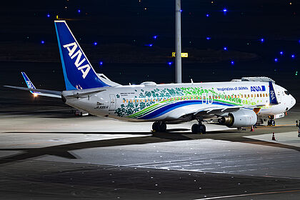 Boeing 737-800 JA58AN operated by ANA